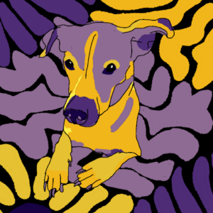 Abstract Style Pet Portrait